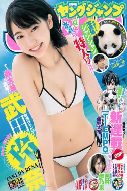 欧美极品少妇Ⅹ免费视频