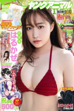 少年天子顺治