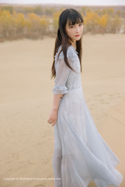 回郭镇吧