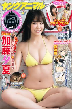 亚洲an日韩专区在线